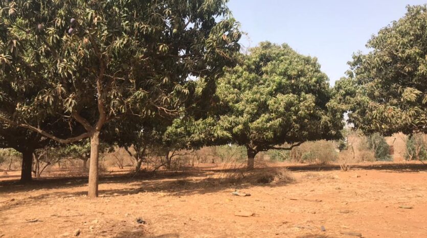 verger agricole a vendre