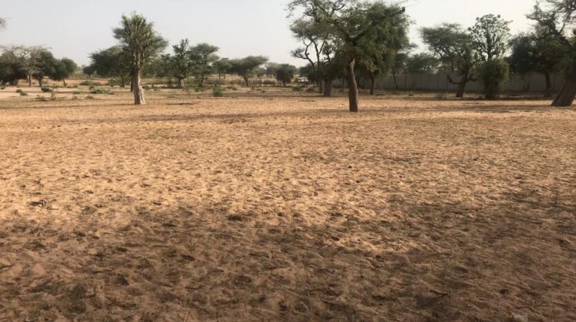 TERRAIN AGRICOLE A VENDRRE