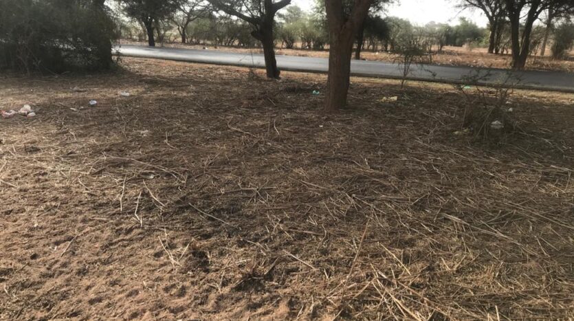 TERRAIN AGRICOLE A VENDRRE