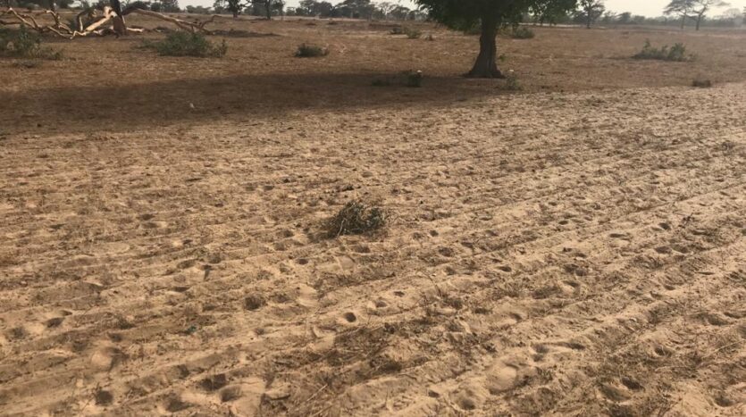 TERRAIN AGRICOLE 2.26HA