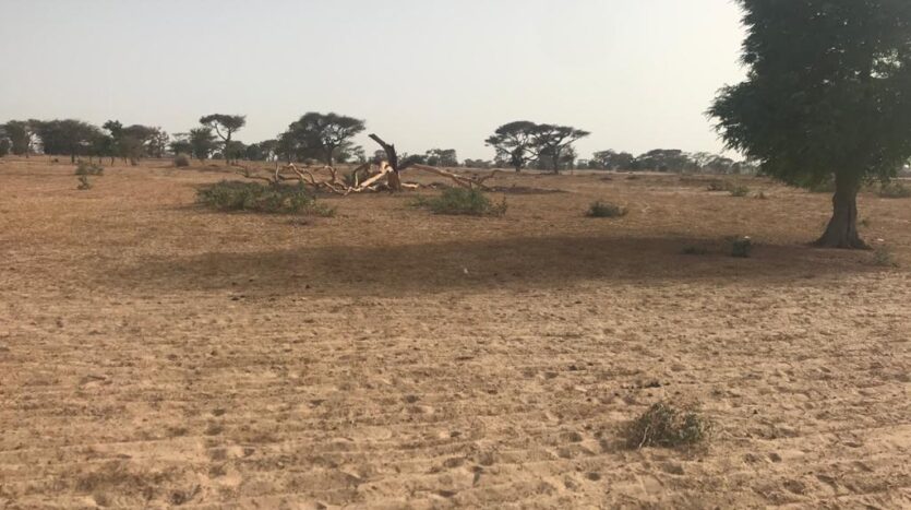 TERRAIN AGRICOLE 2.26HA TERRAIN AGRICOLE 2.26HA