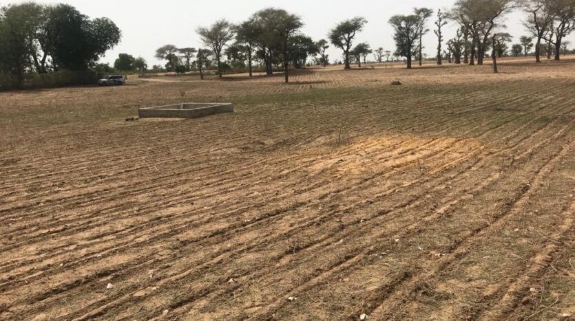 TERRAIN AGRICOLE 10ha A VENDRE