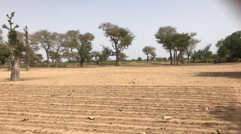 TERRAIN AGRICOLE 10ha A VENDRE