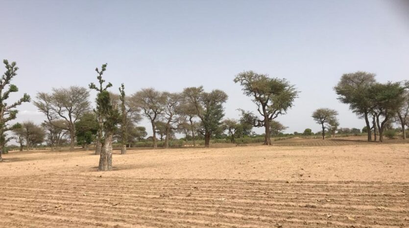 TERRAIN AGRICOLE 10ha A VENDRE TERRAIN AGRICOLE 10ha A VENDRE