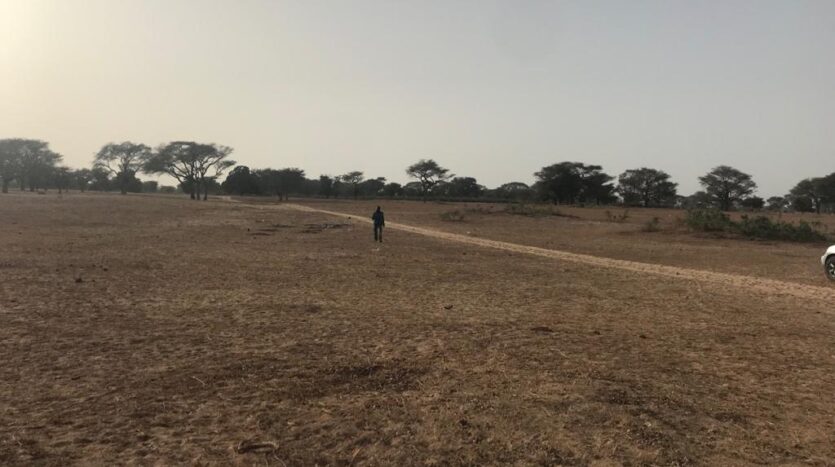 terrain agricole de 1.62 ha