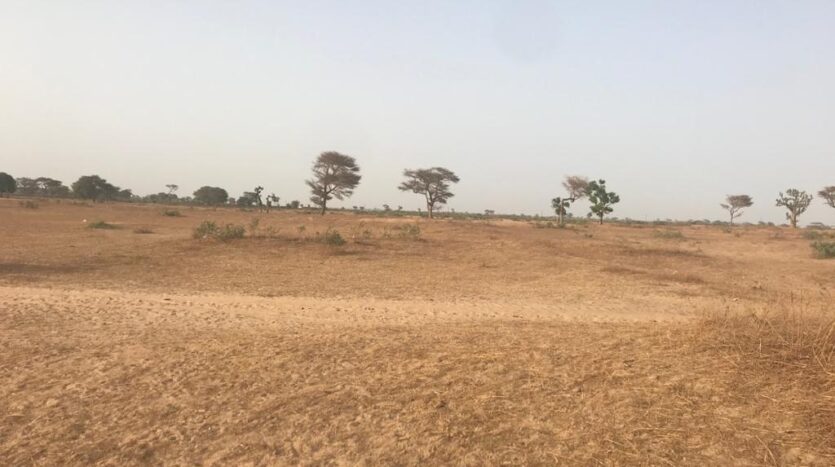 terrain agricole de 1.62 ha