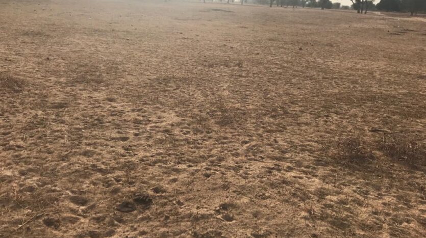 terrain agricole de 1.62 ha terrain agricole de 1.62 ha