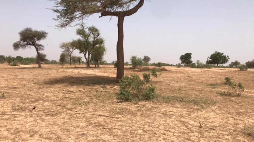 TERRAIN AGRICOLE 3722m²