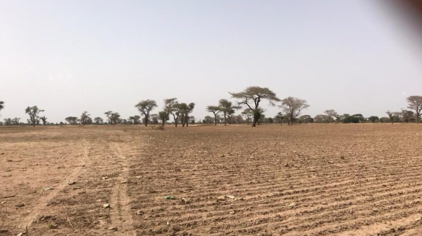 TERRAIN AGRICOLE 3722m²