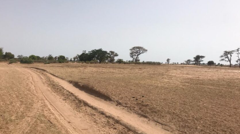 TERRAIN AGRICOLE 3722m² TERRAIN AGRICOLE 3722m²