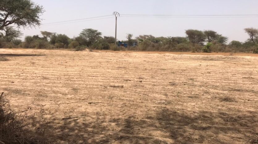 TERRAIN AGRICOLE A VENDRE