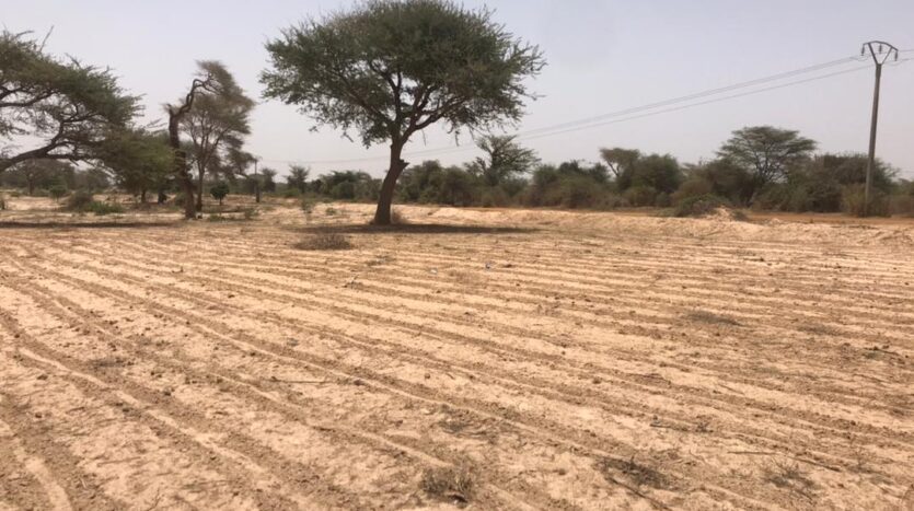 TERRAIN AGRICOLE A VENDRE