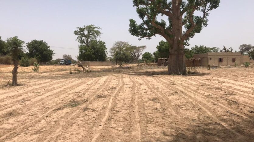 TERRAIN AGRICOLE A VENDRE TERRAIN AGRICOLE A VENDRE