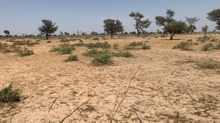 TNU A VENDRE 2,88 Ha