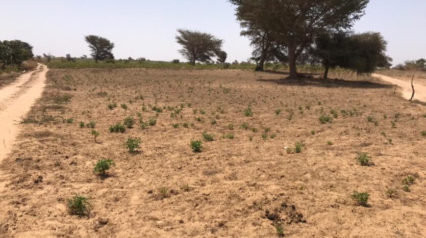 VERGER AGRICOLE A VENDRE