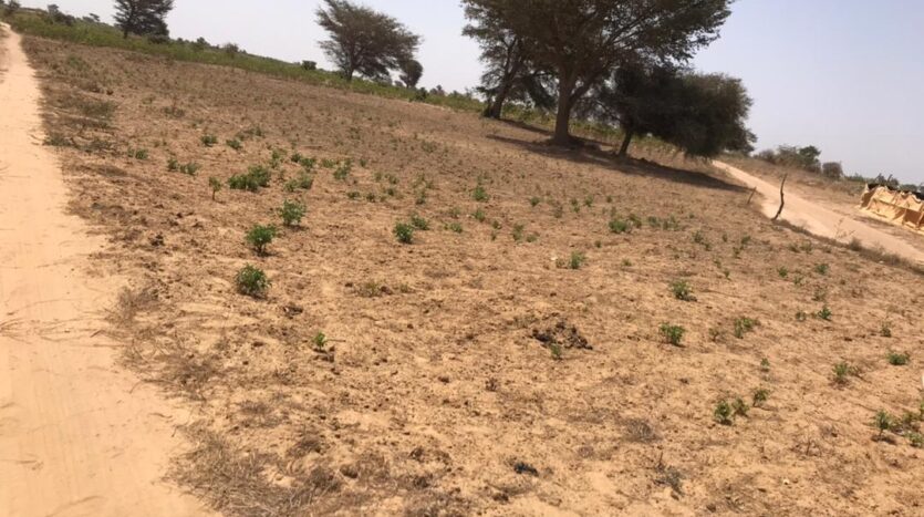 VERGER AGRICOLE A VENDRE