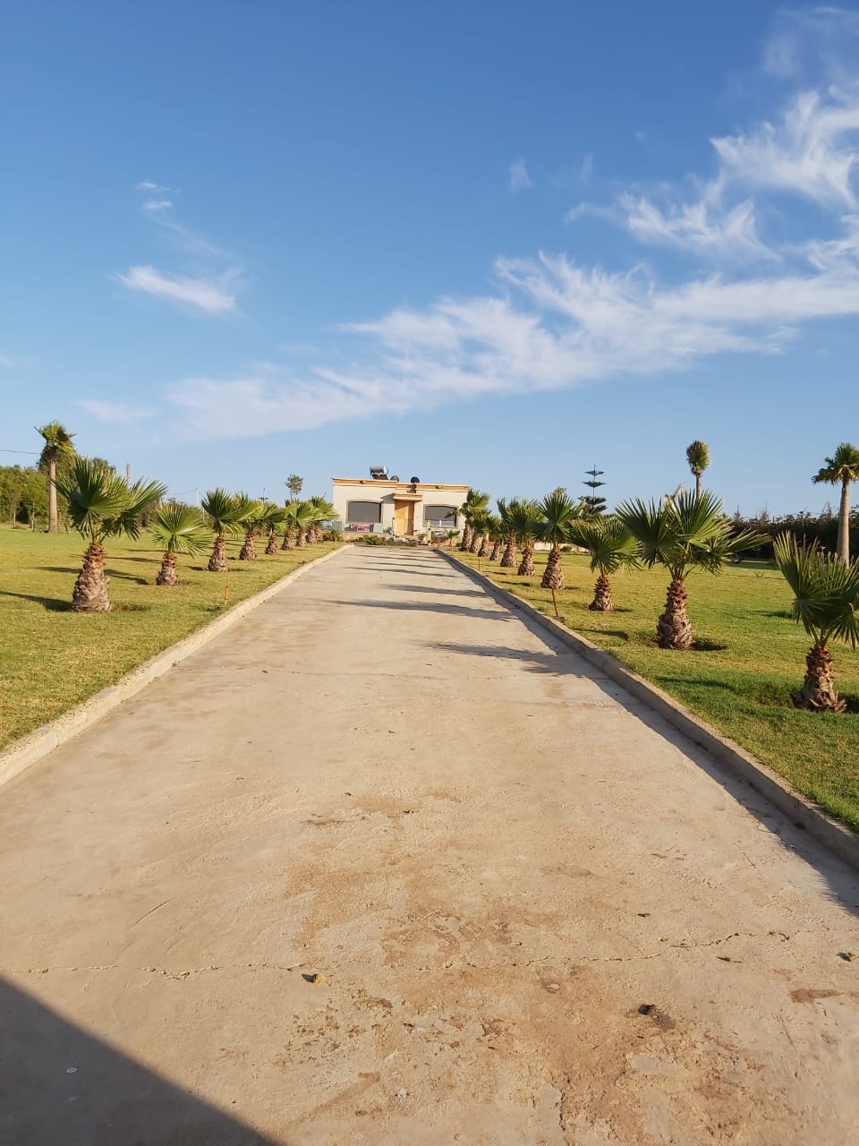 vente d'un ferme à sidi rahal