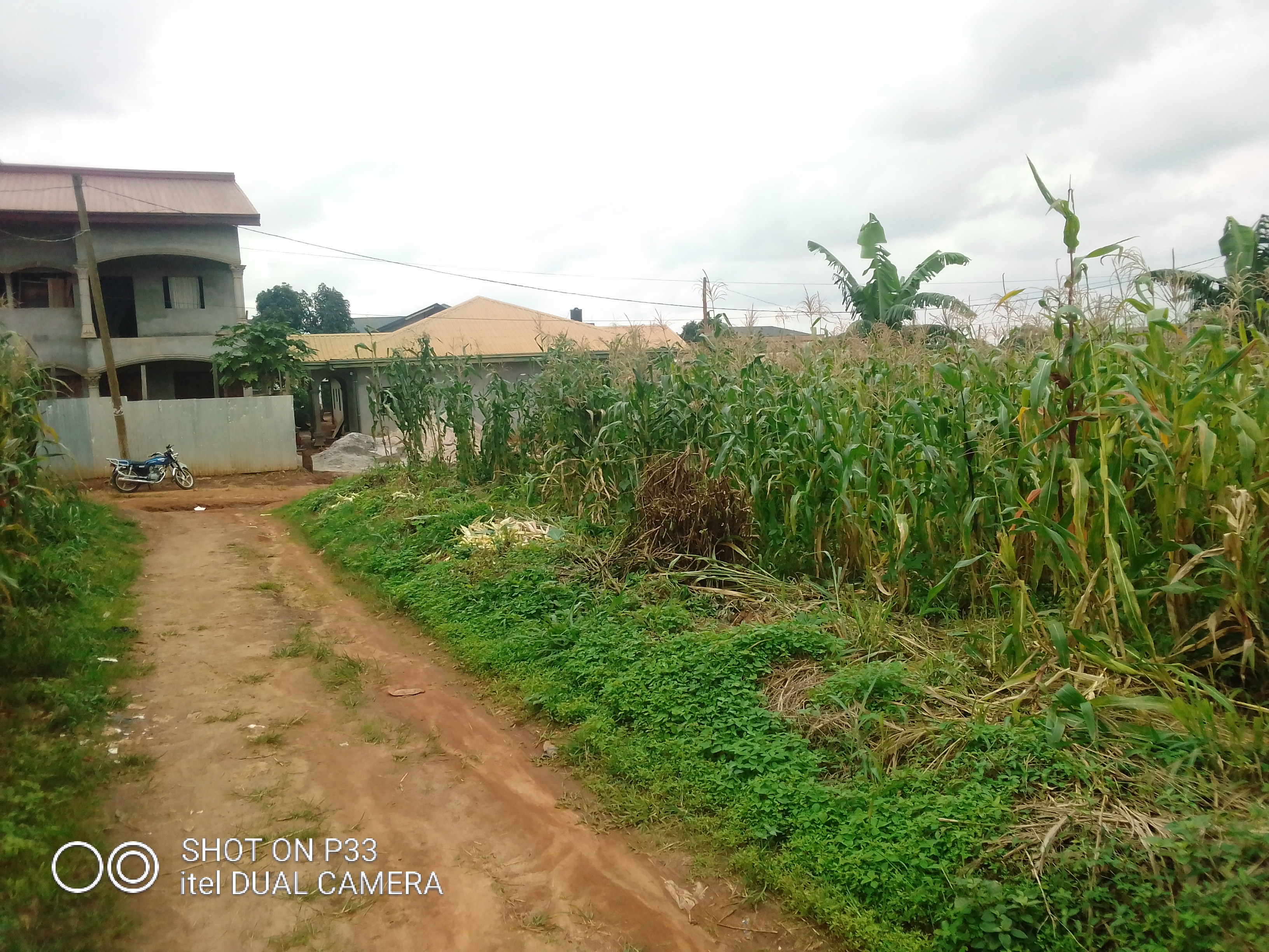 Terrain titré et loti à Odza