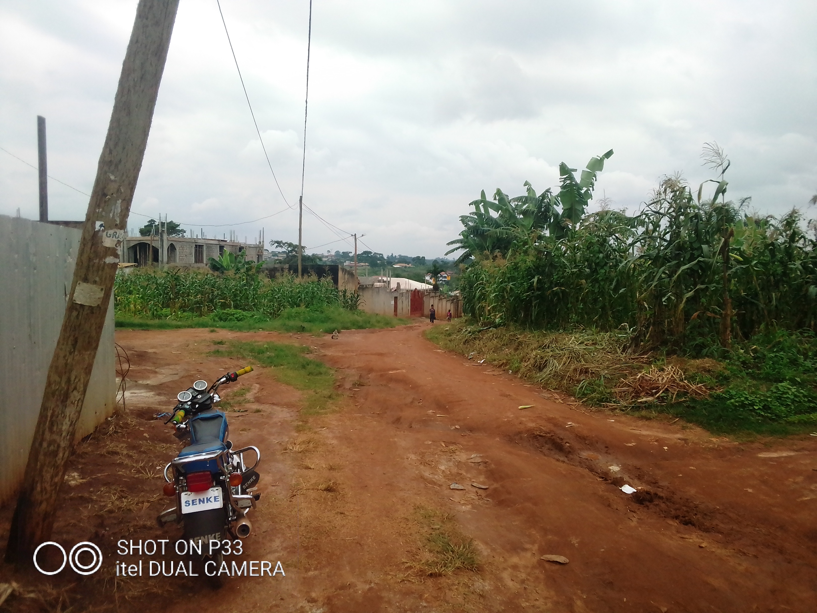 Terrain titré et loti à Odza