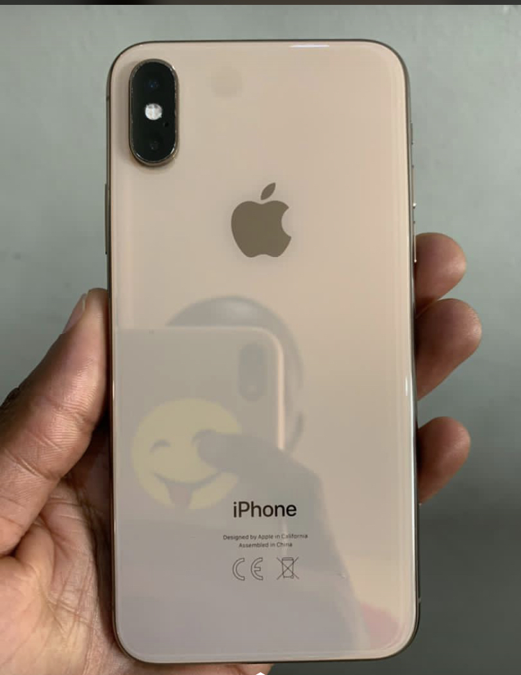 iPhone XS Max tropicalisé partiellement iPhone XS Max tropicalisé partiellement