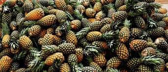 Ananas pain de sucre et beurre de karité Ananas pain de sucre et beurre de karité