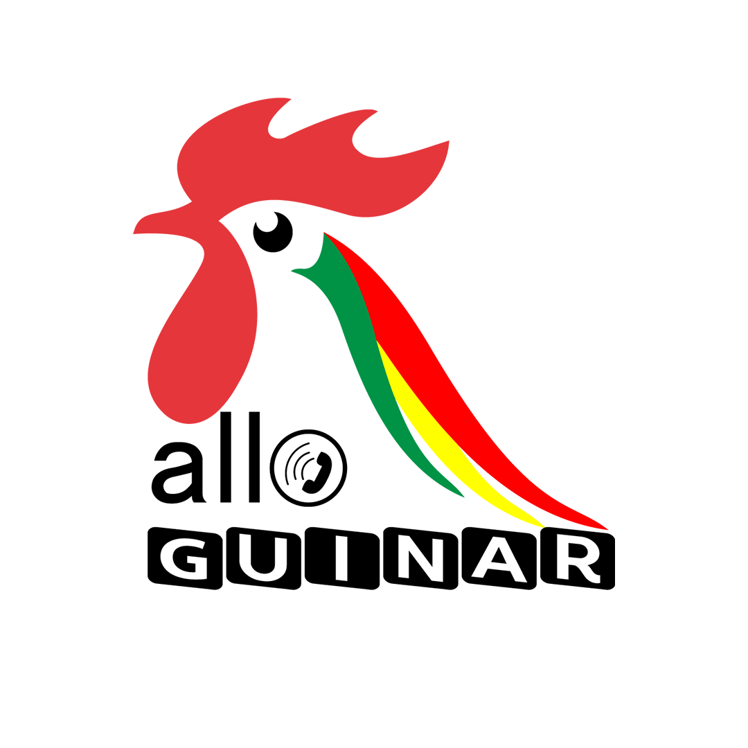 vente ailes de poulet en gros à dakar