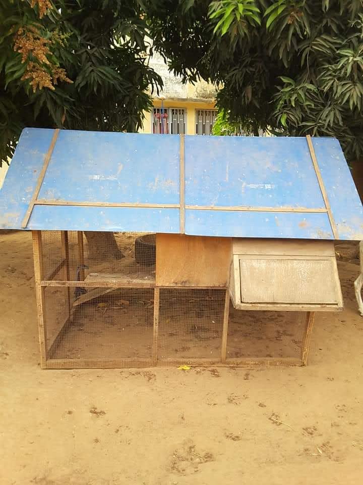 5000 tablette oeufs a vendre