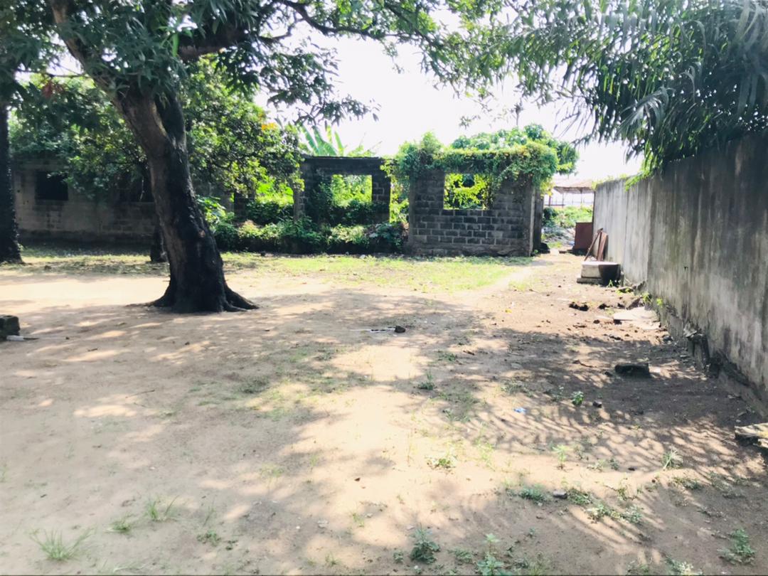 bâtisse en vente bâtisse en vente