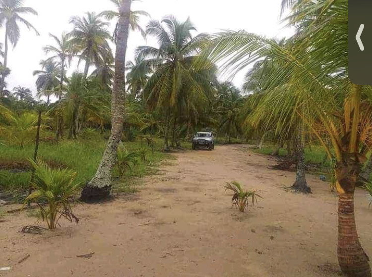 Vente de parcelle de terre à Assinie