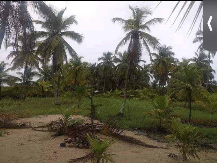 Vente de parcelle de terre à Assinie