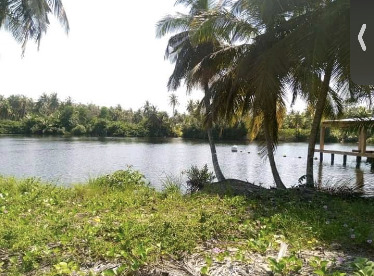 Vente de parcelle de terre