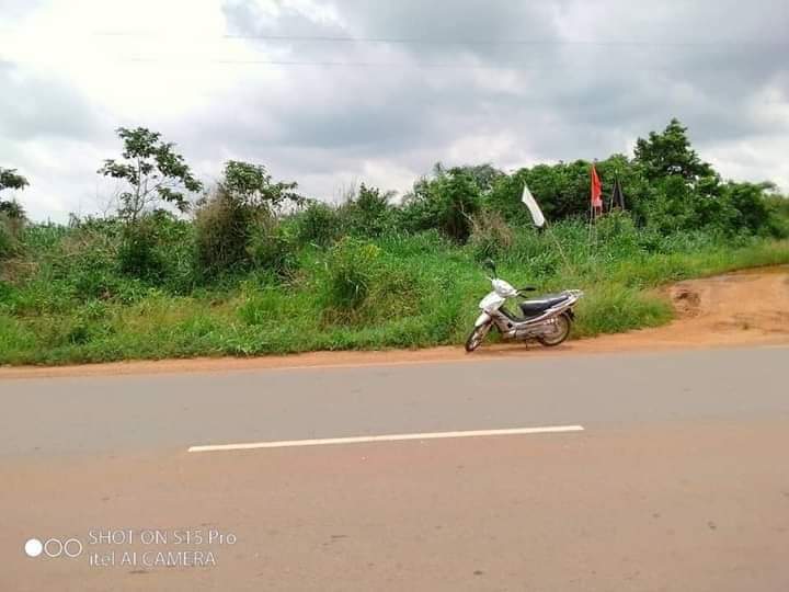 vente hectares domaine à Allada, TOFFO, tori, Ouidah, zinvié, Sékou etc...