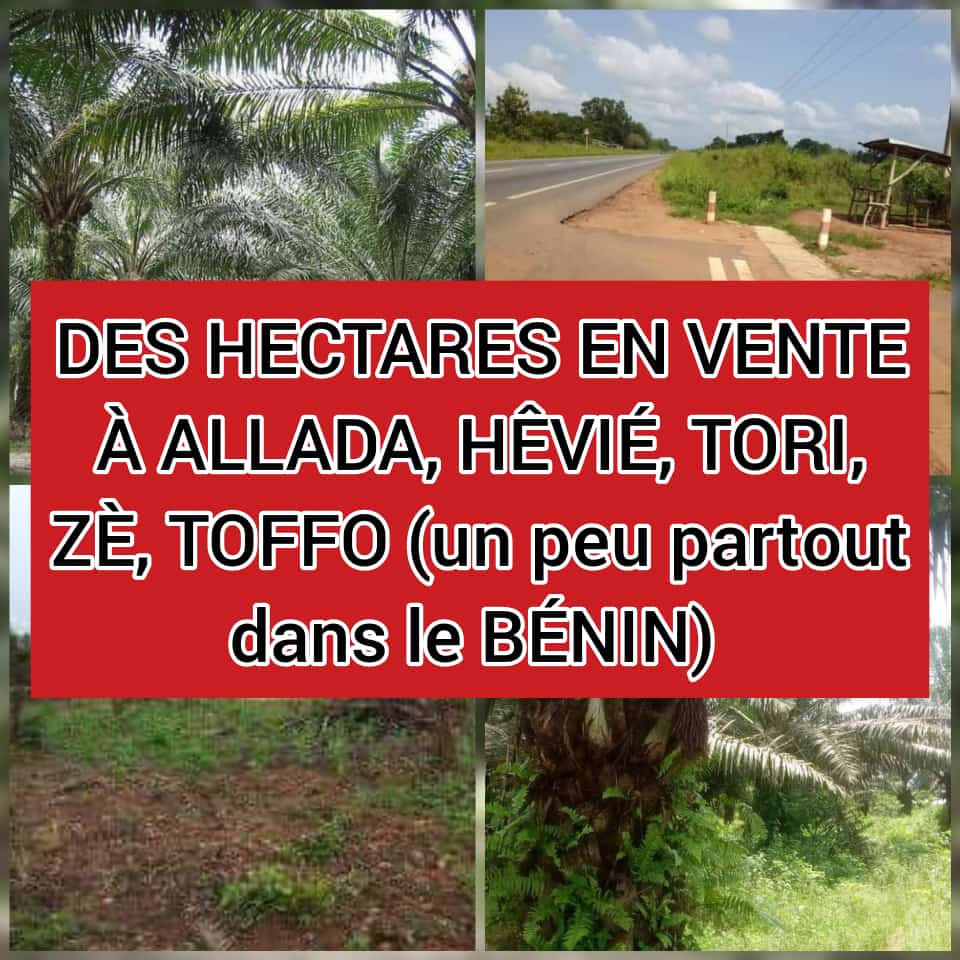 vente hectares domaine à Allada, TOFFO, tori, Ouidah, zinvié, Sékou etc... vente hectares domaine à Allada, TOFFO, tori, Ouidah, zinvié, Sékou etc...