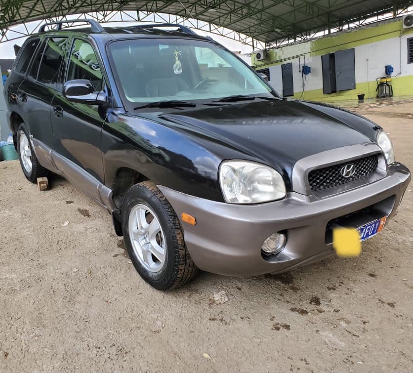 Hyundai SantaFe 2004 Hyundai SantaFe 2004