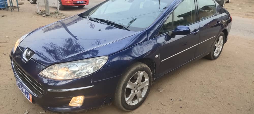 Peugeot 407 2005 Peugeot 407 2005