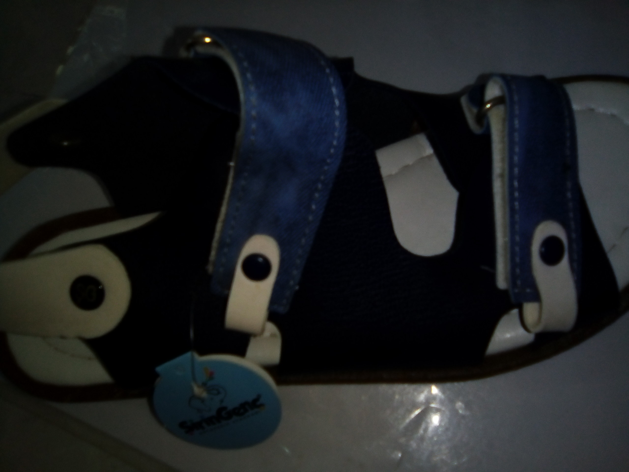 là galerie des enfants maristes après brioche Dorée