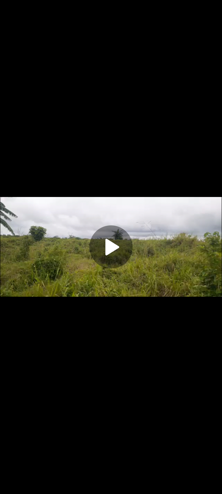 TERRAIN TITRÉ DE 1,8 HECTARES EN VENTE À PROXIMITÉ DU STADE DE JAPOMA.