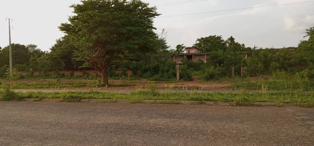 terrain avec un bâtis