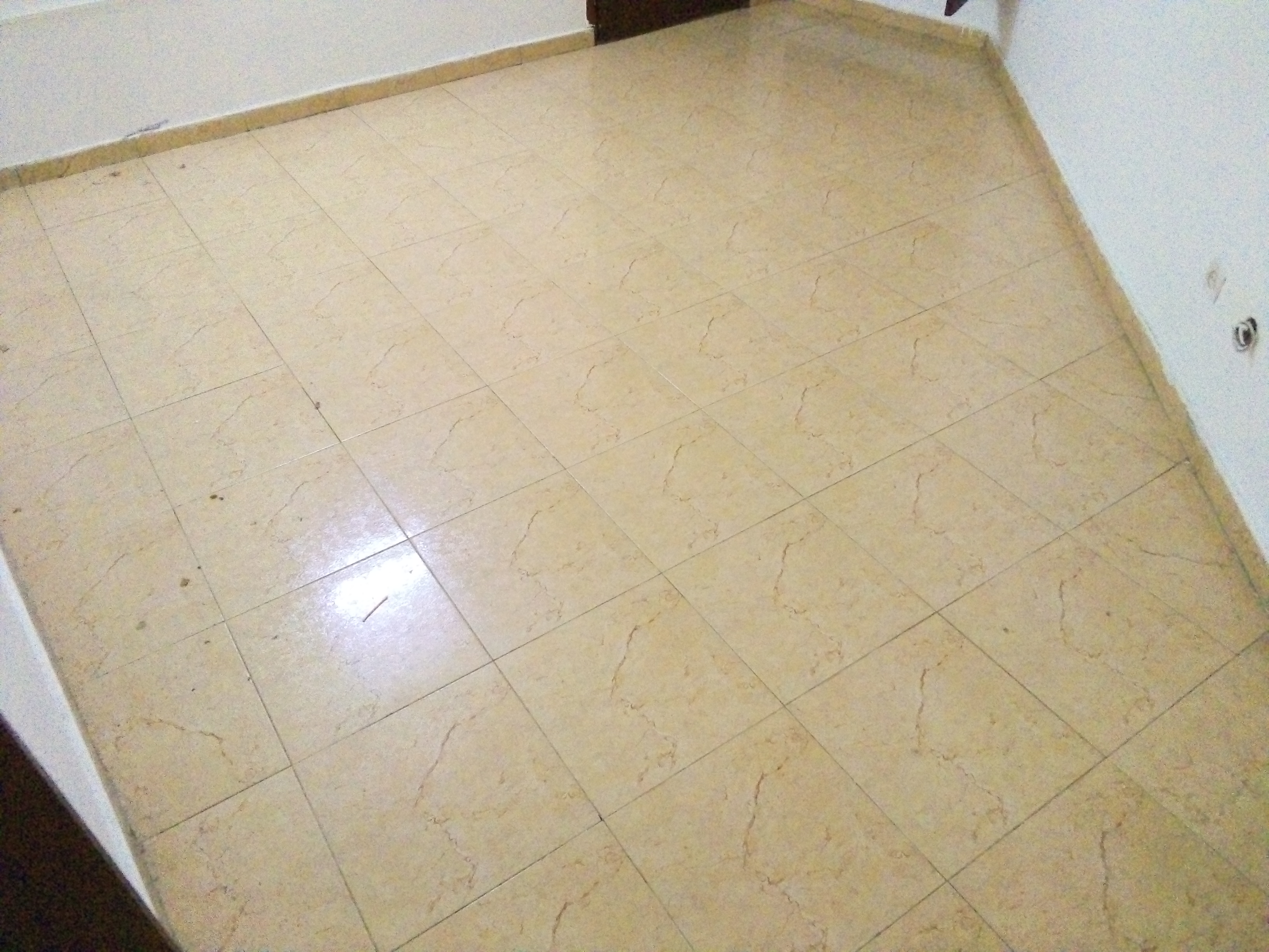 2pieces en location rivière plamerais st viateur