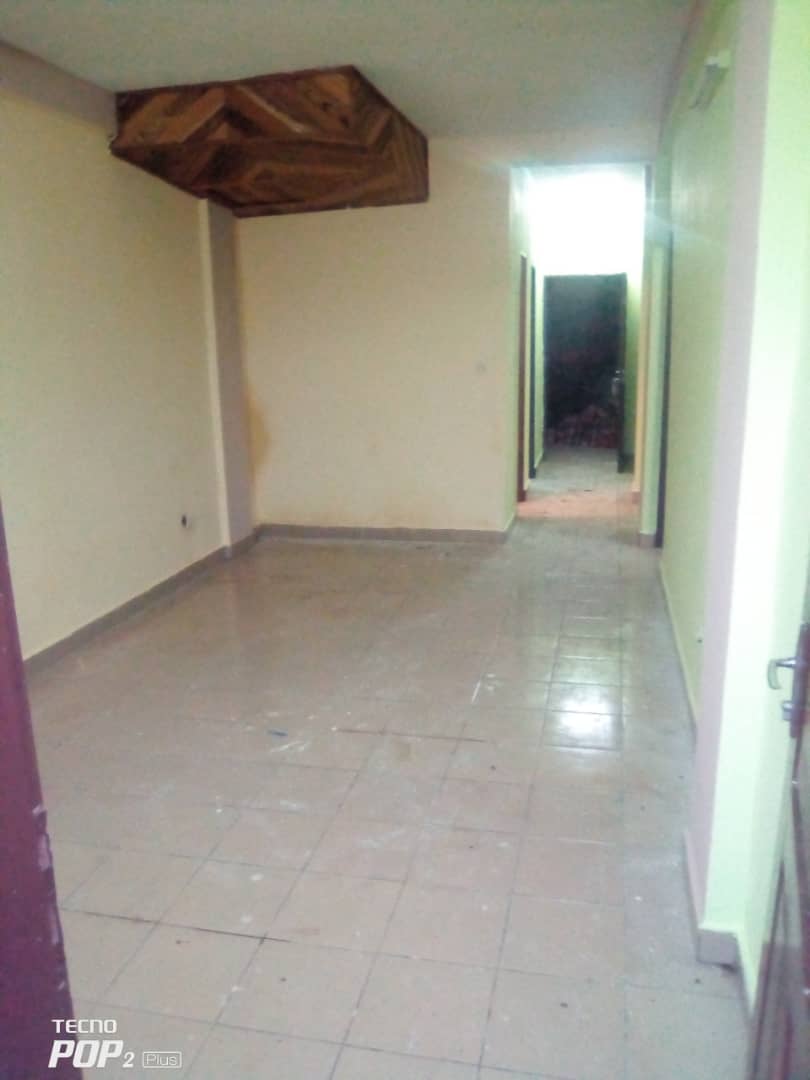 Appartement Moderne 2 Chambres à louer à Ange Raphaël Appartement Moderne 2 Chambres à louer à Ange Raphaël