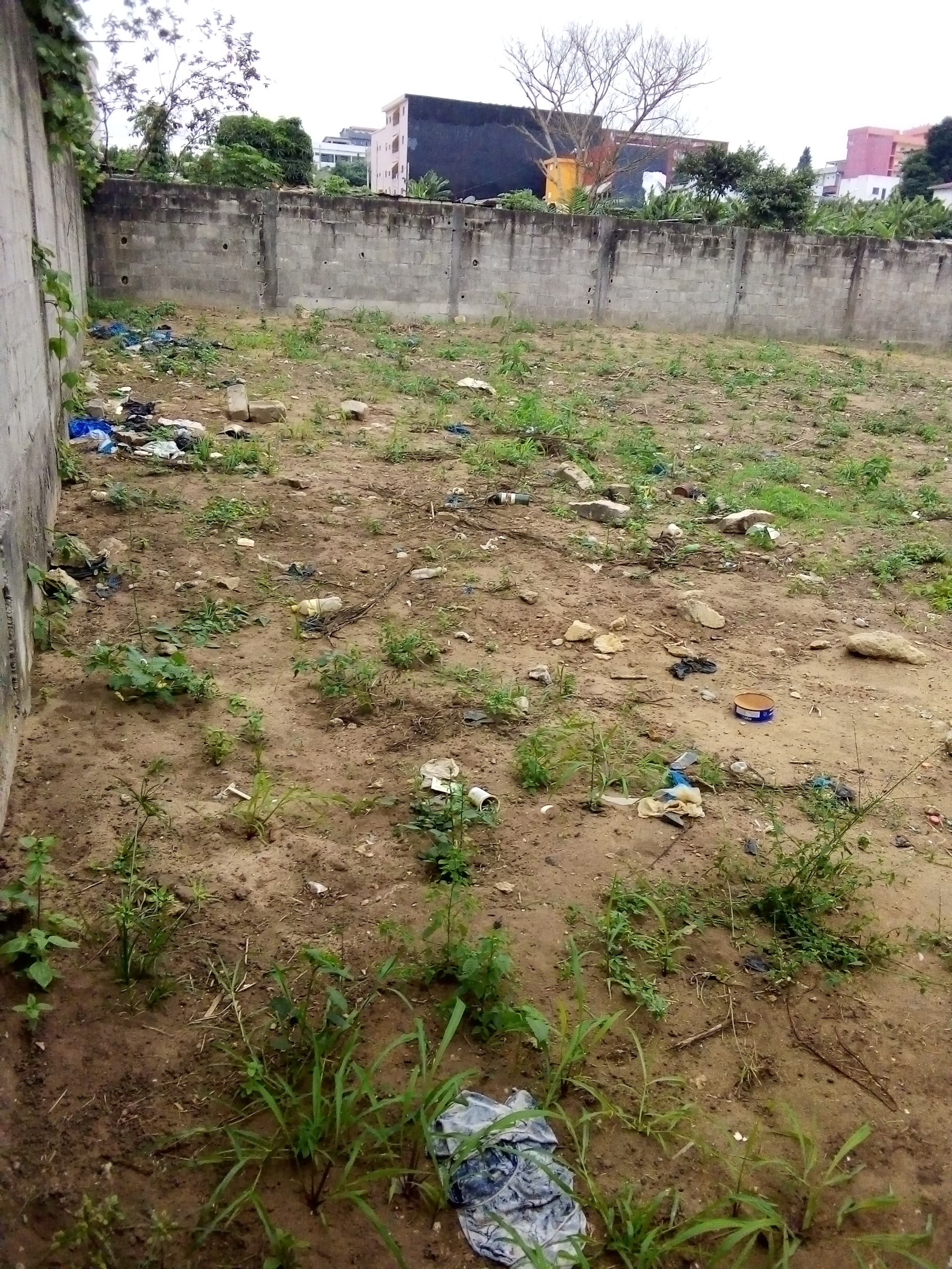 a vendre terrain Cocody Riviera plamerais st viateur