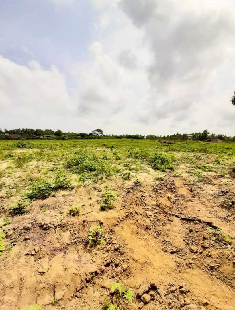 très bonne opportunitée d'affaires