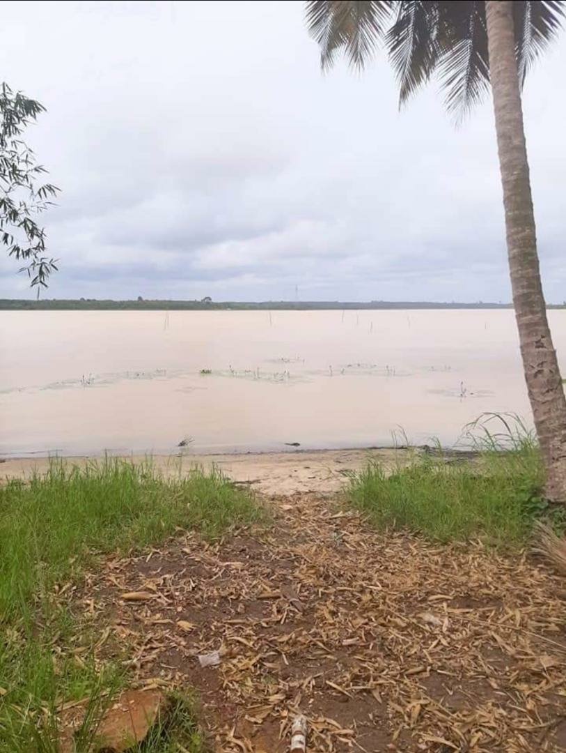 très bonne opportunitée d'affaires