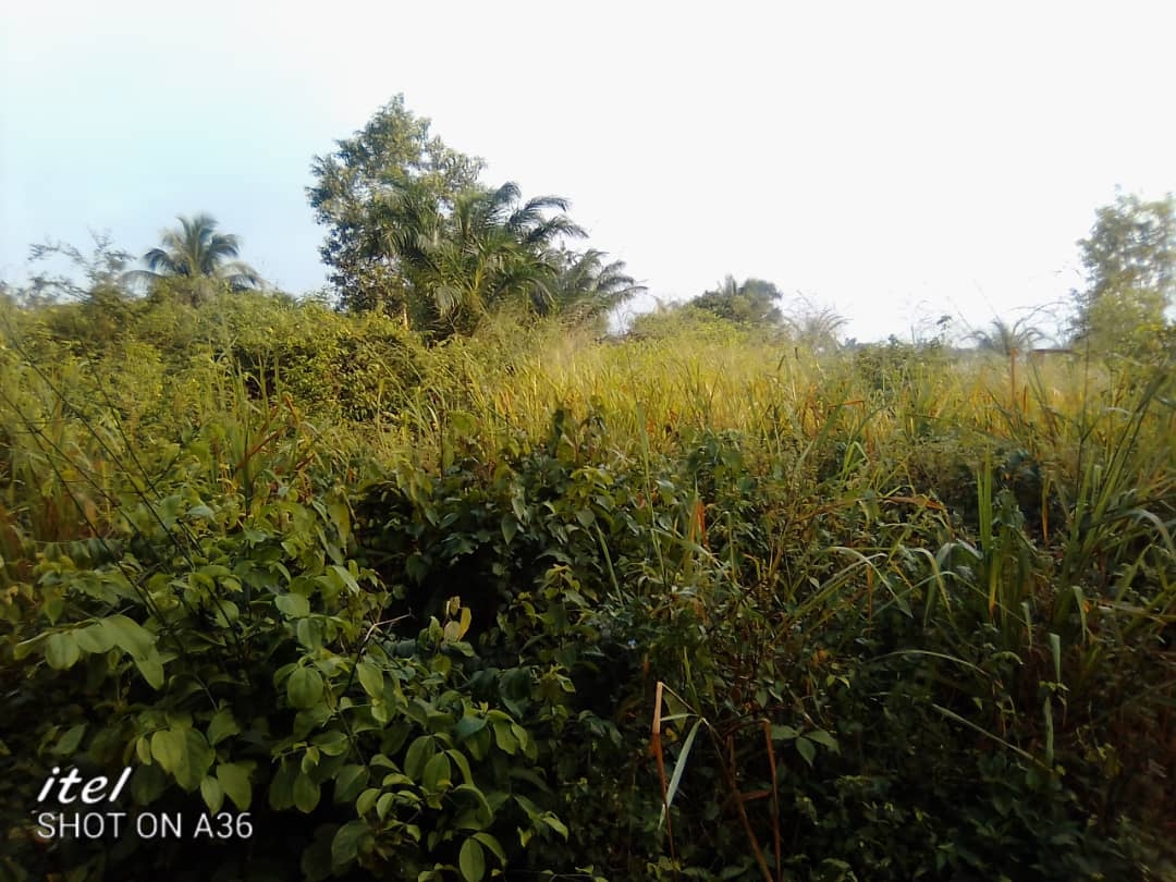 Mis en vente des Terrains