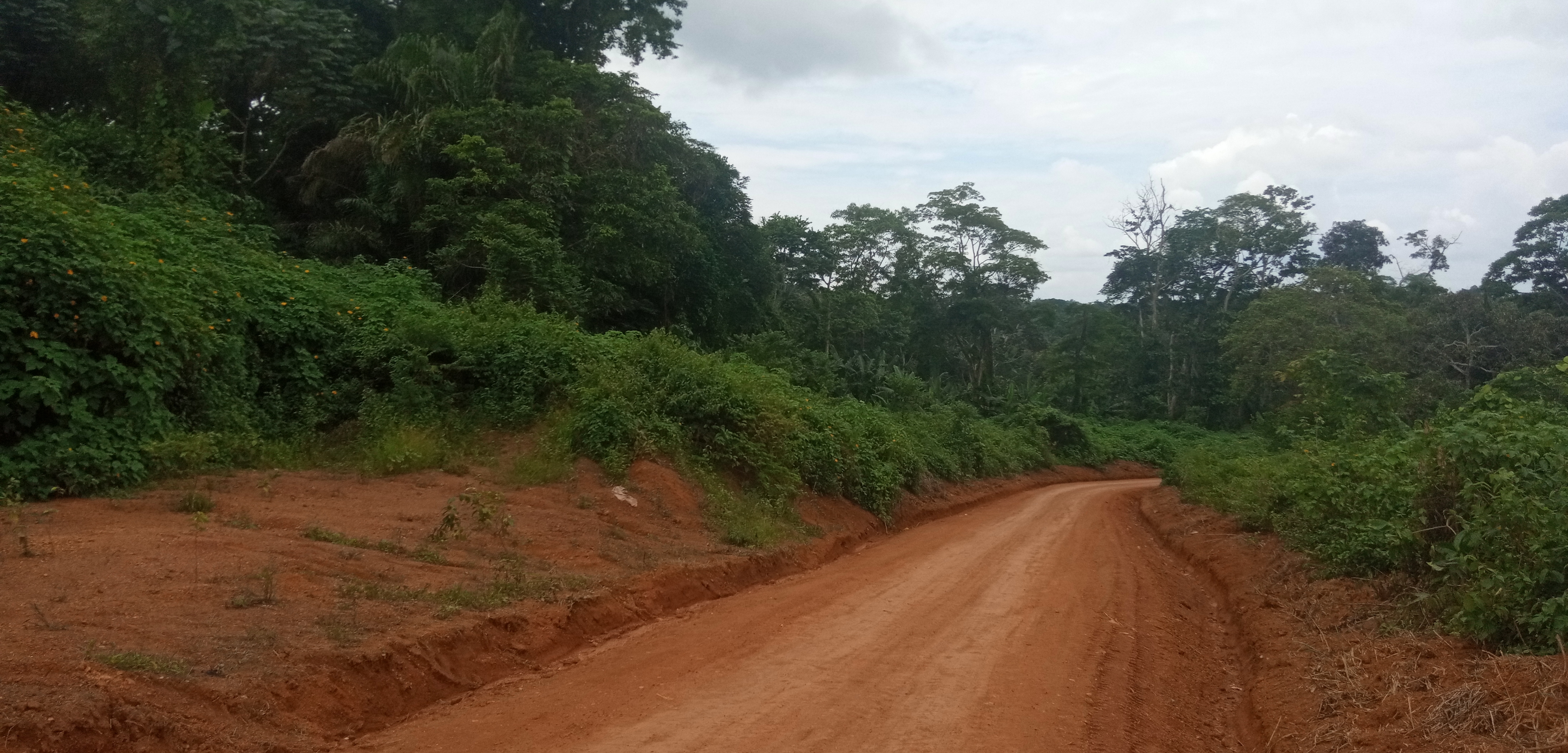 terrain titré et loti à vendre