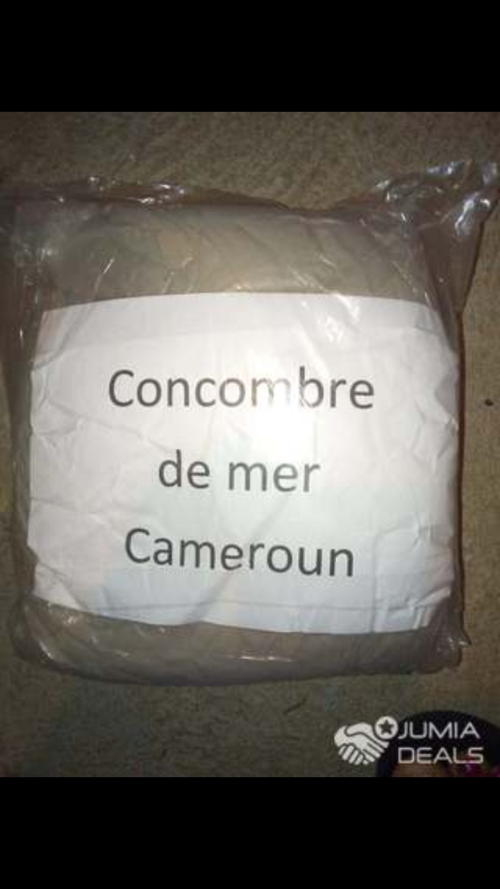 CONCOMBRE DE MER CONCOMBRE DE MER