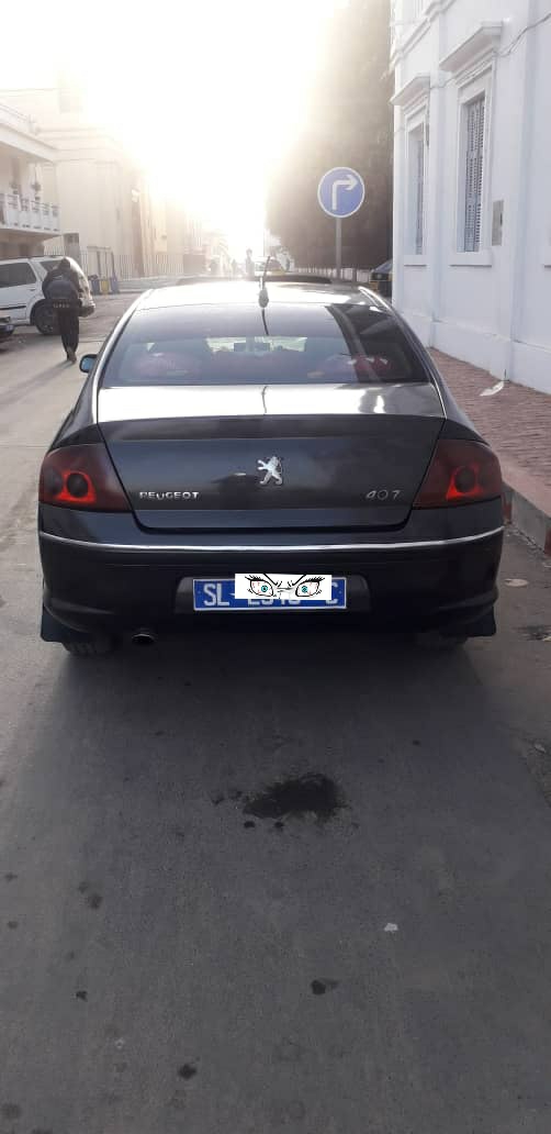 Peugeot 407