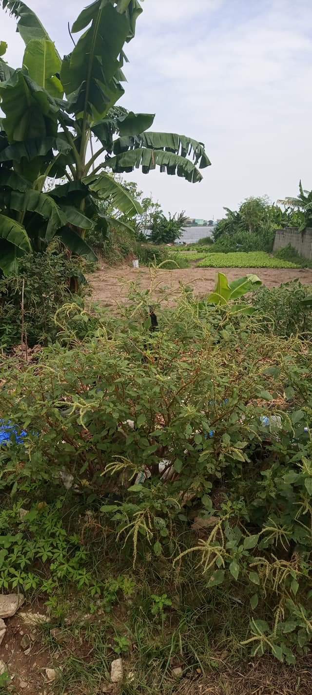 EN VENTE UN BON TERRAIN DE 6400M2 AVEC PIEDS DANS L'EAU À RIVIERA EDEN