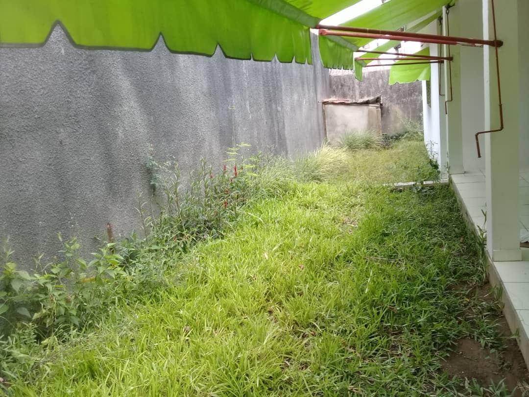 villa basse 4 pieces plus 2 dépendances a louer