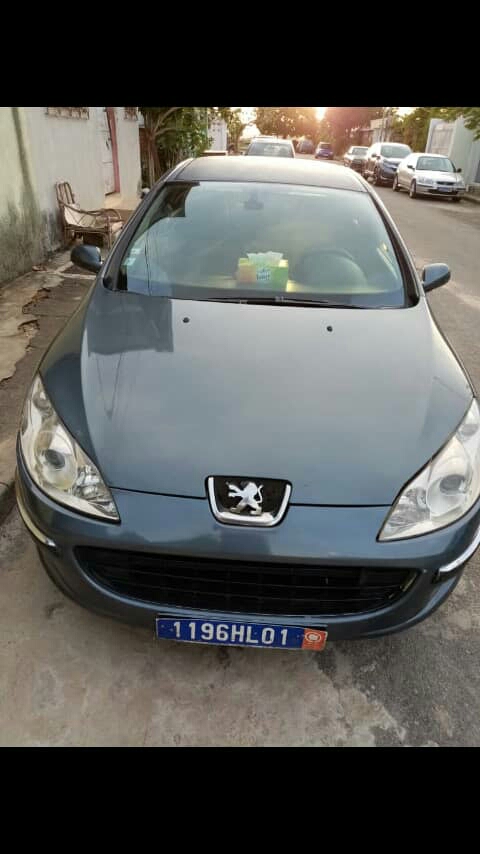 Peugeot 407